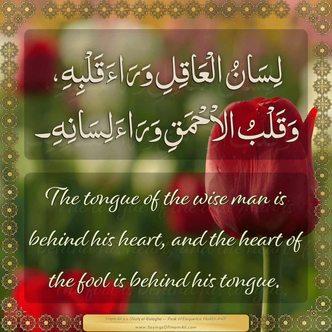 The tongue of the wise man is behind his heart, and the heart of the fool...